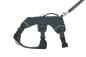 Preview: Ruffwear Web Master Hundegeschirr Basalt Gray Gr. XS Preview: Ruffwear Web Master Hundegeschirr Basalt Gray Gr. XS